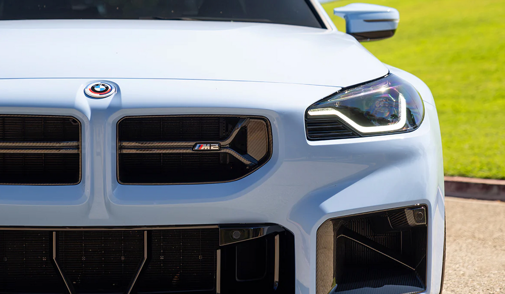 Dry Carbon Fiber CSL Style Grill - G87 M2