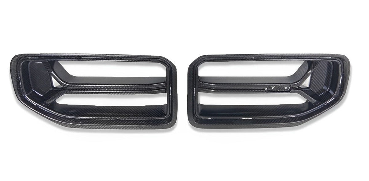 Dry Carbon Fiber CSL Style Grill - G87 M2